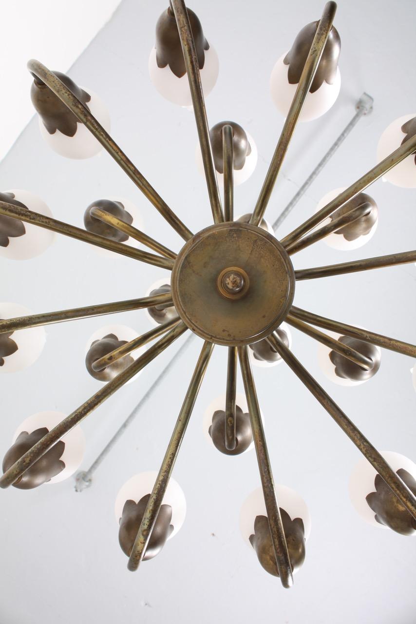 Mid-20th Century Danish Midcentury Tulip Chandelier in Brass and Glass by Fog & Mørup, 1950s For Sale