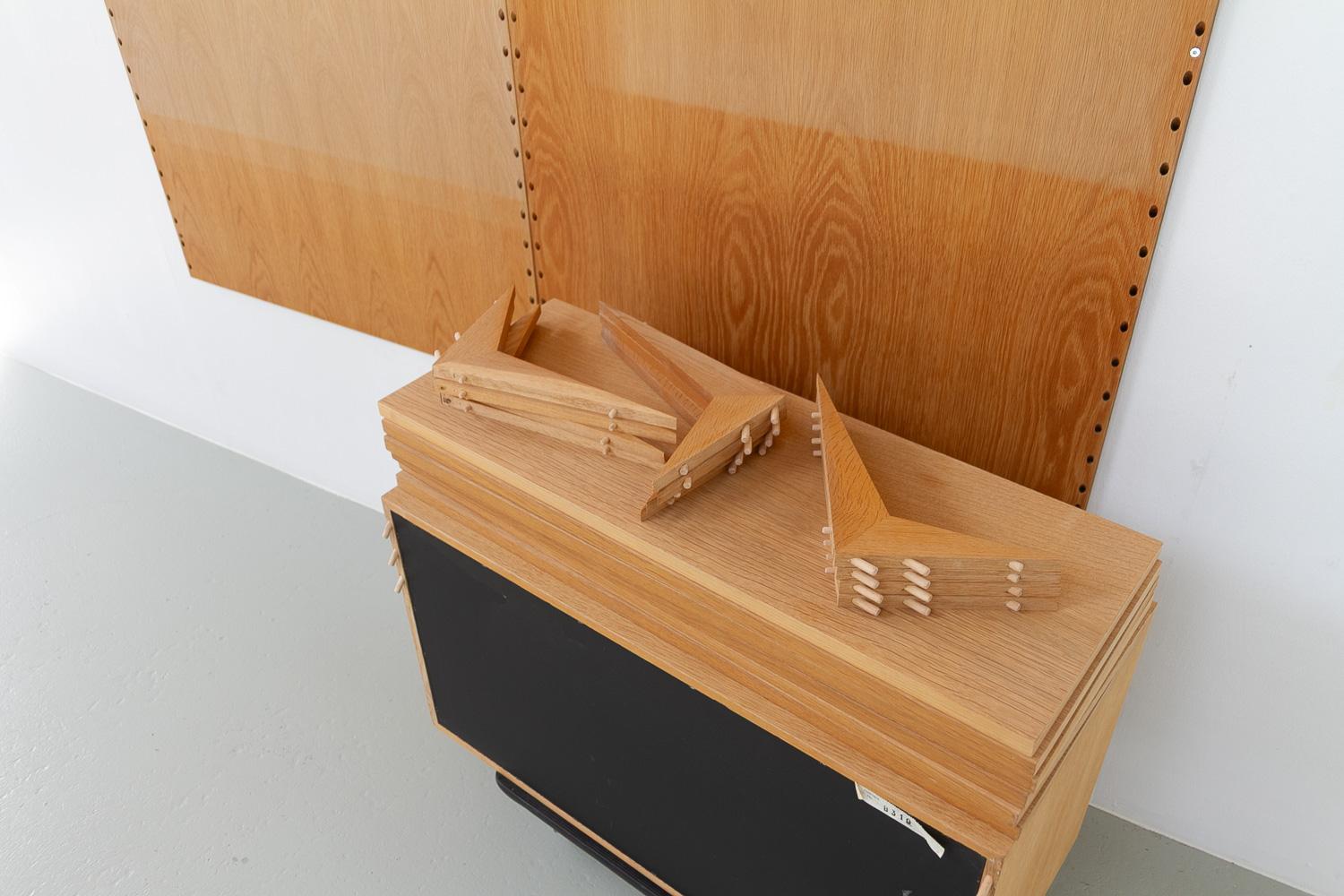 Parete attrezzata moderna danese a 2 vani in Oak di Poul Cadovius per Cado 1960. in vendita 13