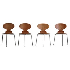 Danish modern Ant Dining Chairs in Teak by Arne Jacobsen for Fritz Hansen, 1960s