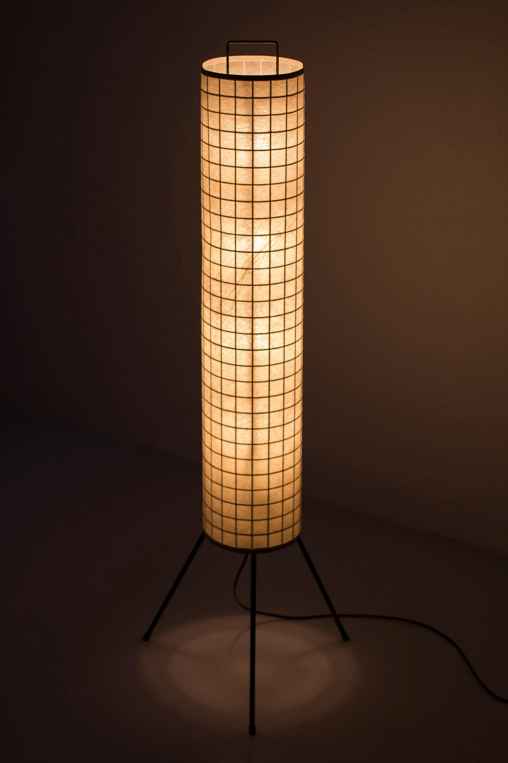Danish Modern cocoon resin and metal floor lamp, 1950s, Denmark For Sale 1