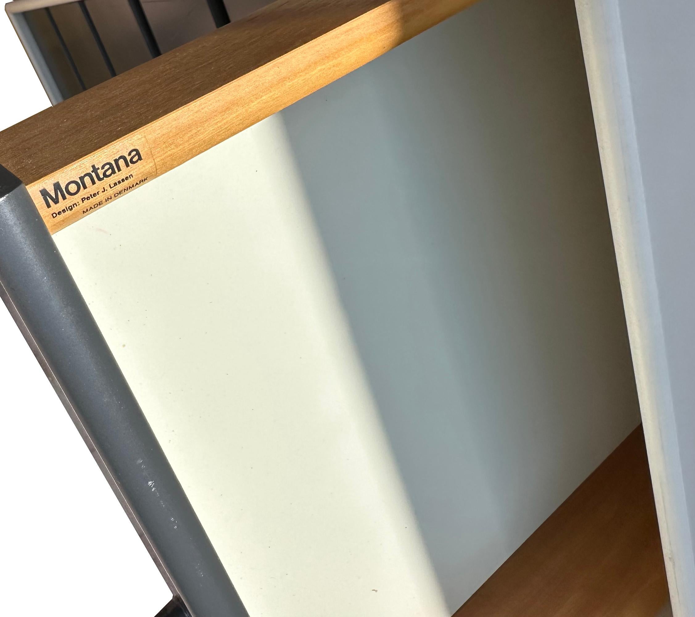 20ième siècle Suspension modulaire danoise moderne de Peter J. Lassen Montana du milieu du siècle dernier en vente