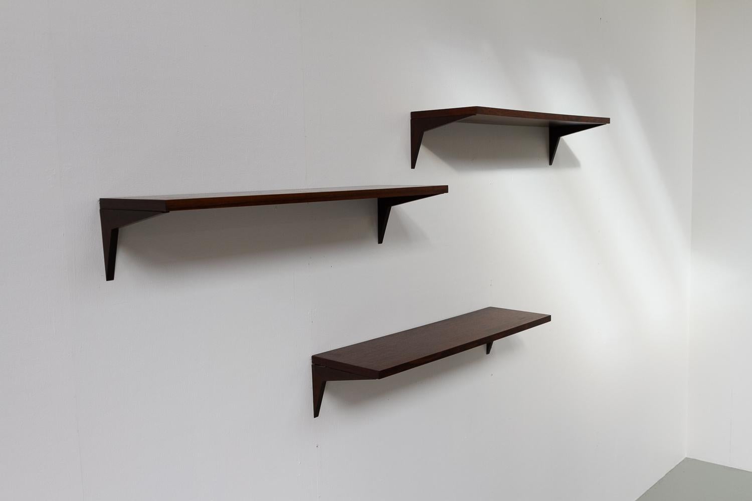 Scandinavian Modern Danish Modern Rosewood Shelves by Poul Cadovius for Cado, 1960s. Set of 3.