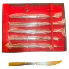 Set di coltelli da bistecca moderni danesi dello chef Le Blanc per Selandia NIB