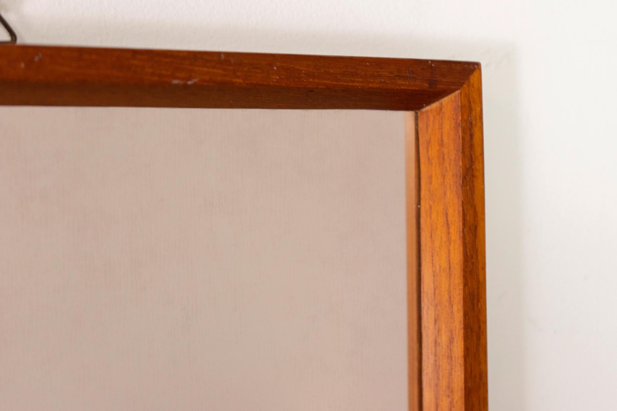 Dänischer Modern Teak Wandspiegel (Skandinavische Moderne) im Angebot