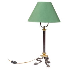 Danish Neoclassical Bronze Table Lamp with Animal Paw Base