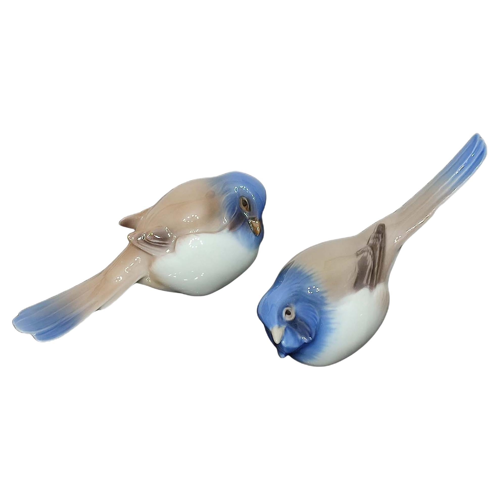 Danish Porcelain Bird Sculptures by Dahl Jensen 
Bing, 1970s For Sale