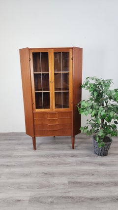 Danish Teak Mid-Century Modern Corner Cabinet with Glass Doors