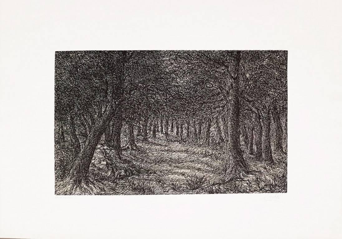 Figurative Print de Dante Ricci - Wildwood