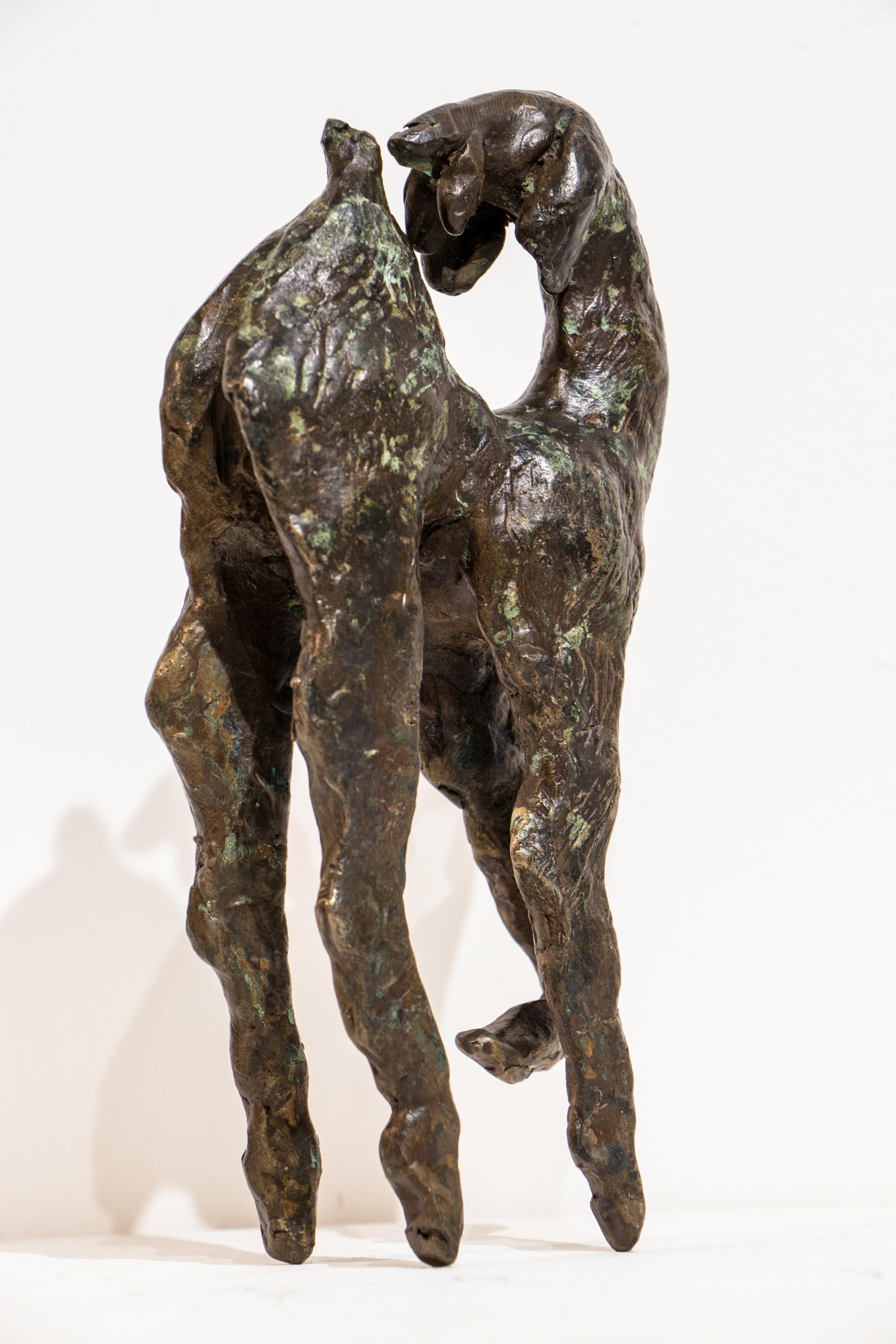 Backward Glance, Contemporary Bronze Goat - Sculpture by Danusia Wurm