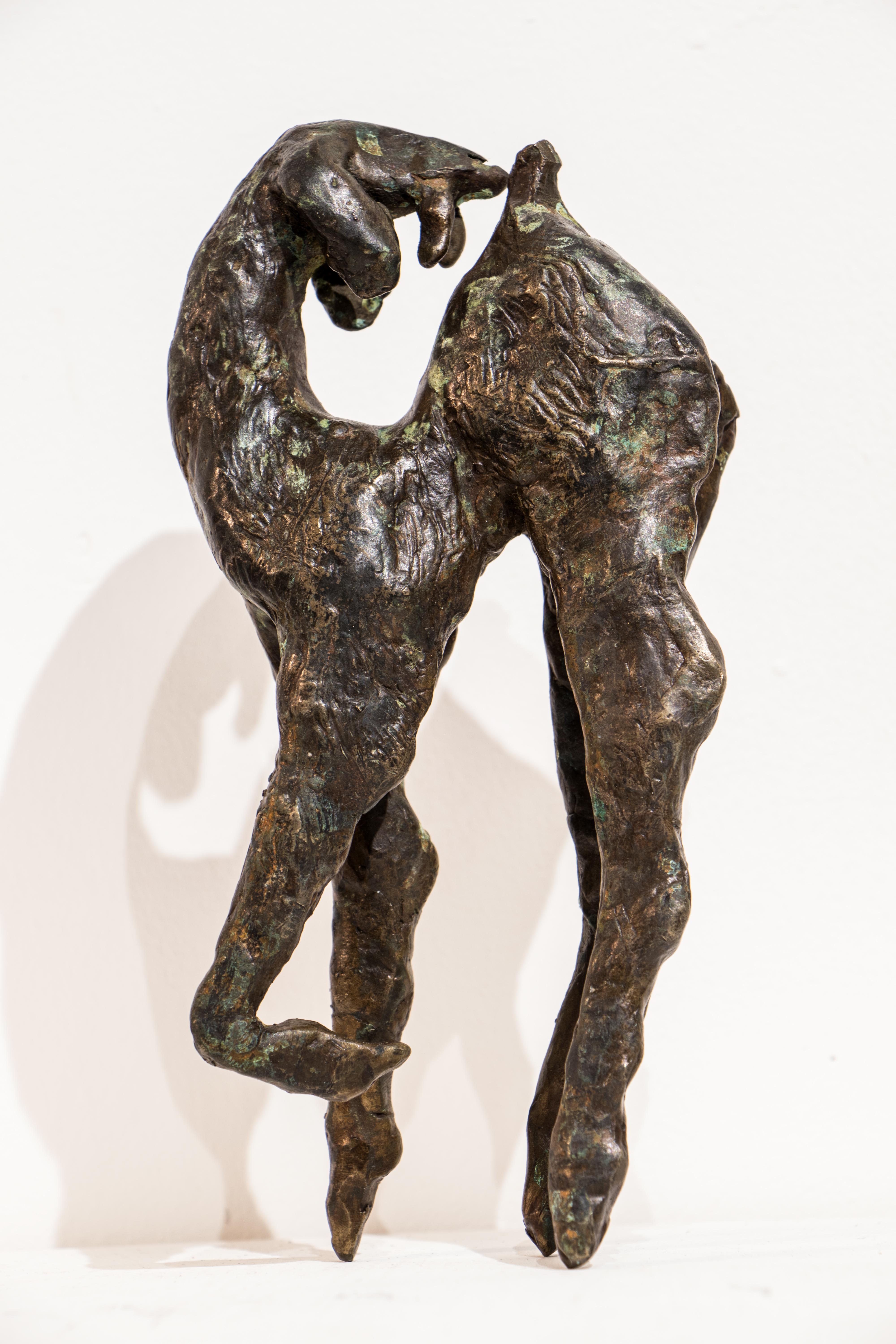 Danusia Wurm Figurative Sculpture - Backward Glance, Contemporary Bronze Goat