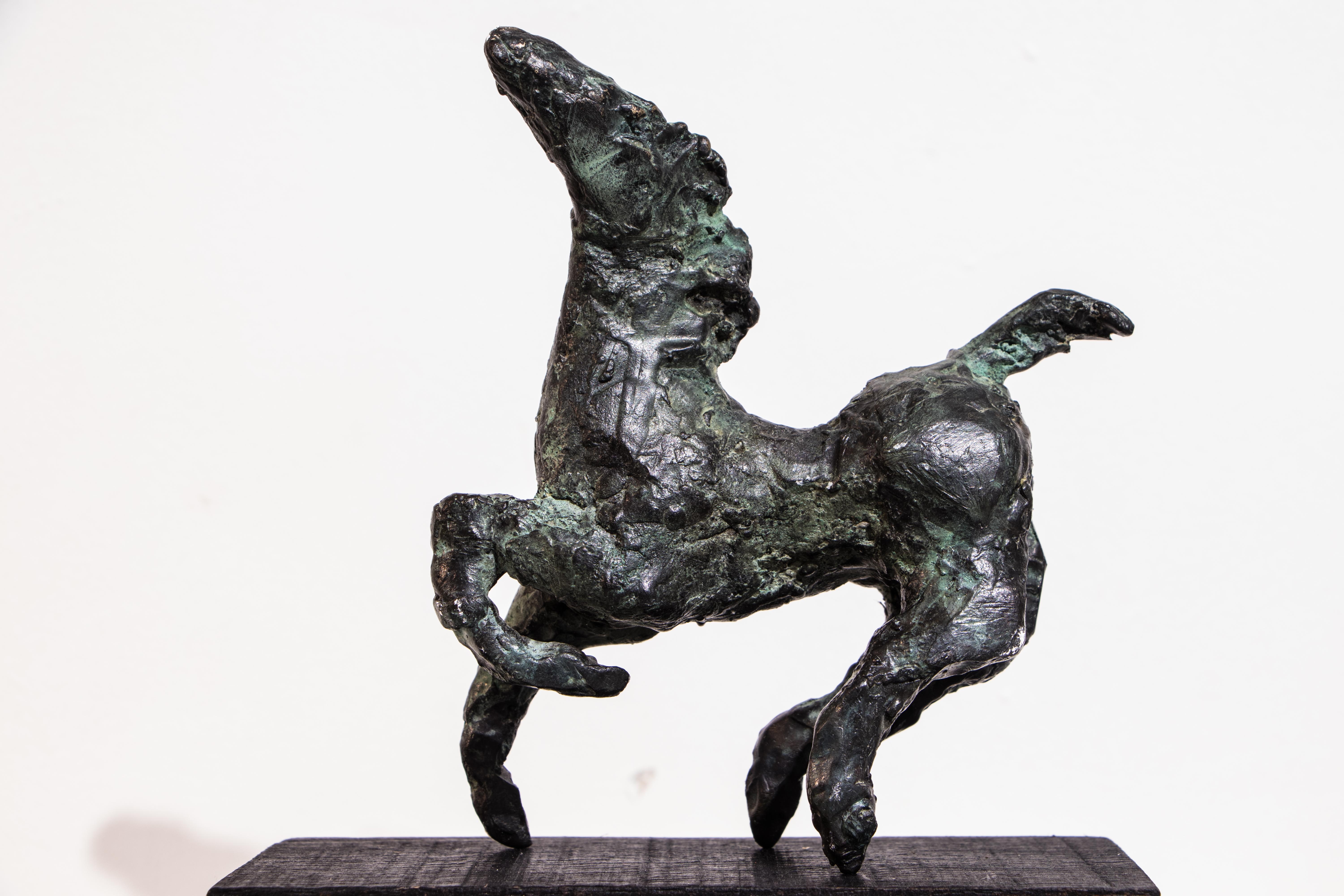 Star Gazer, Unique Cast Bronze Horse - Sculpture by Danusia Wurm