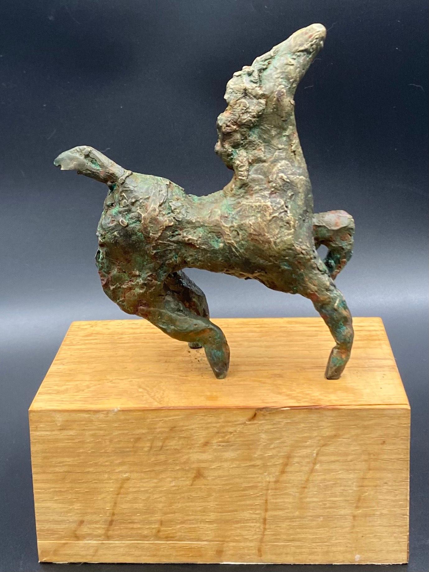 Star Gazer, Cavallo in bronzo fuso unico nel suo genere - Figurative Sculpture Oro di Danusia Wurm