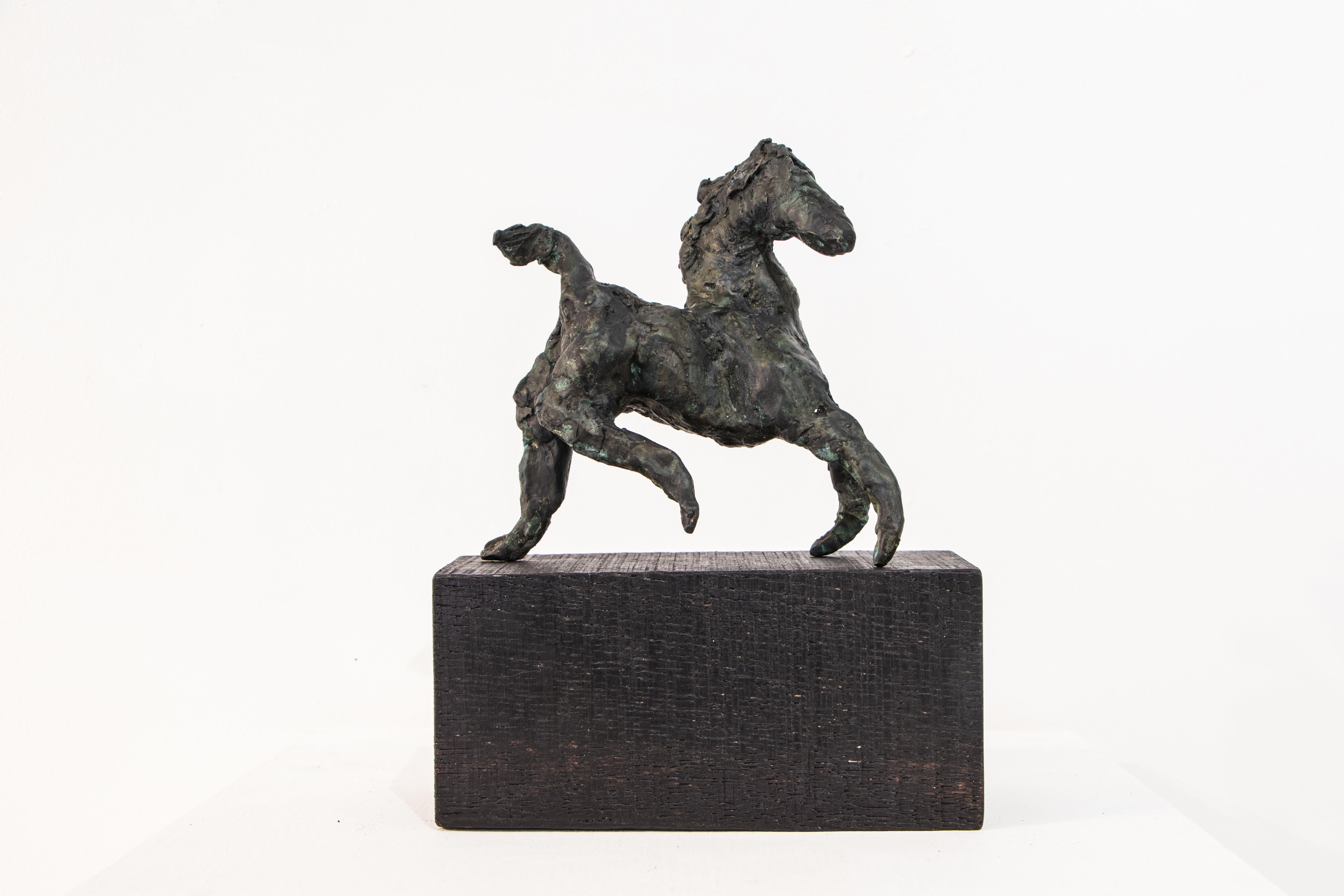 Danusia Wurm Figurative Sculpture - "Turning Point", Contemporary Bronze Horse