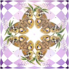 Danza Davis - KALEIDOSCOPE: Buckeyes KALEIDOSCOPE: Buckeyes