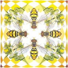 KALEIDOSCOPE : Hoverfly & Coyote Brush