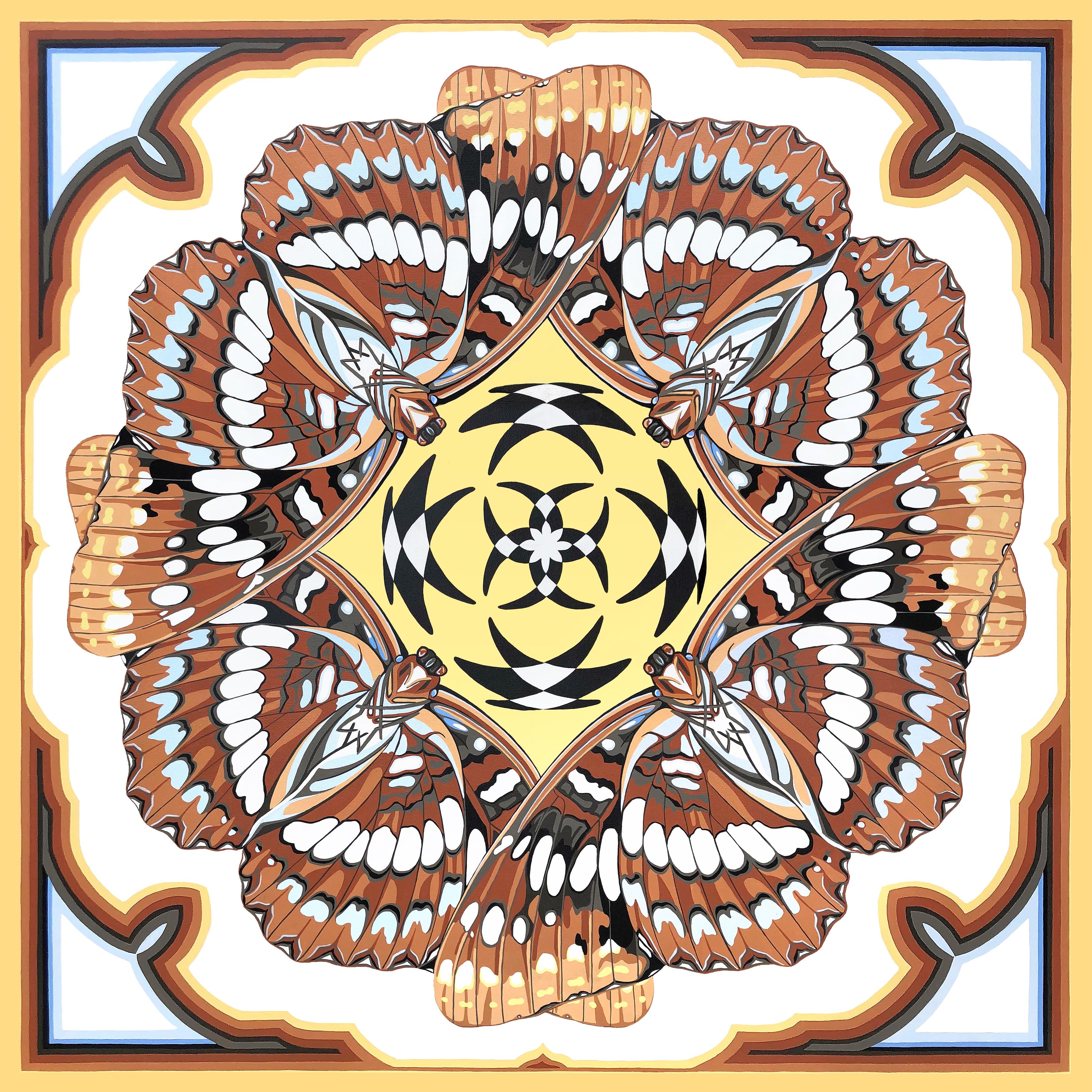 KALEIDOSCOPE : Lorquin's Admiral