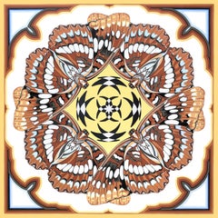 KALEIDOSCOPE : Lorquin's Admiral