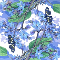 SHIFT: Pacific Houndstongue & Forget-me-not Moth