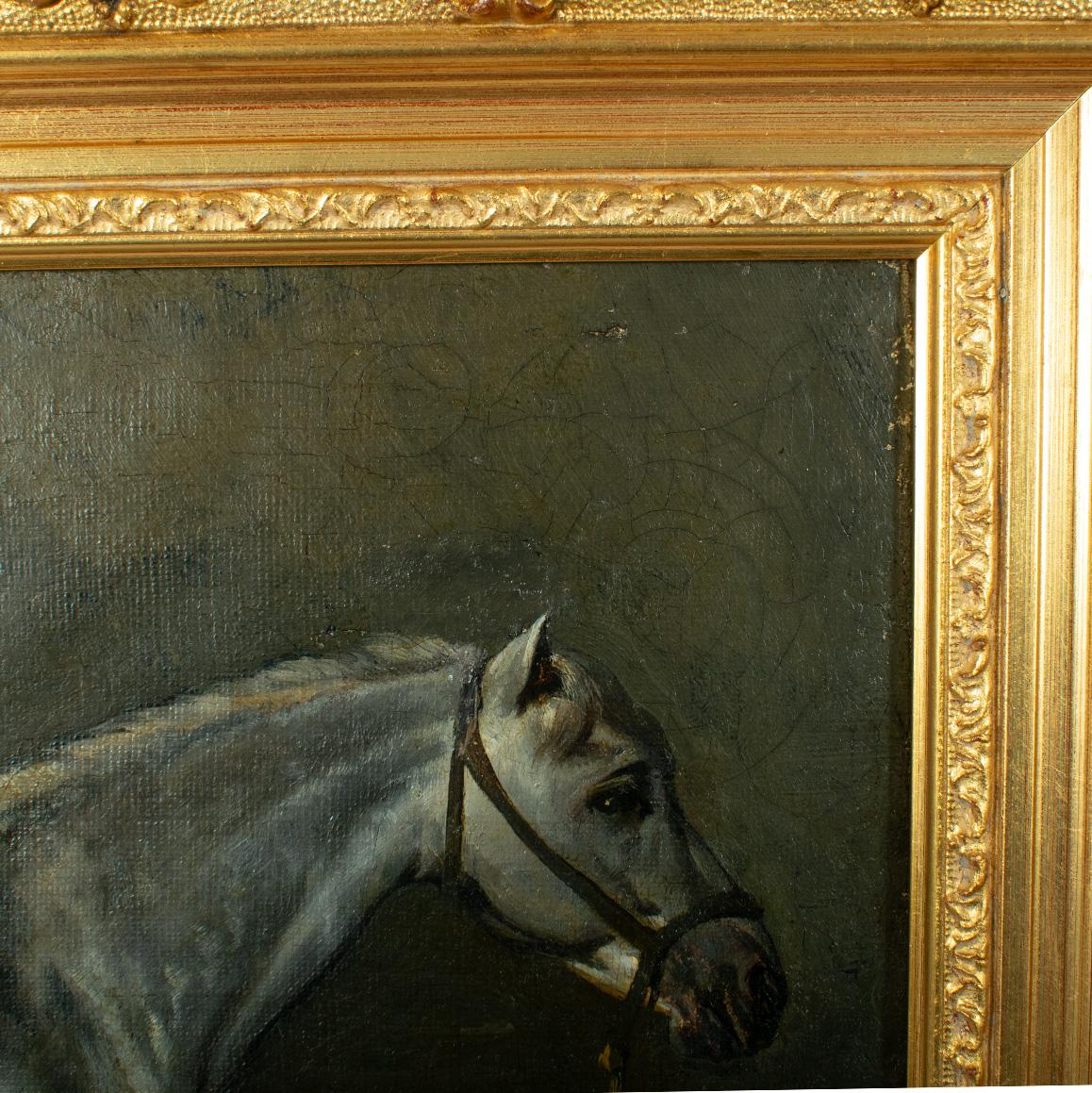 CAVALLO GRIGIO DAPPLED IN STABILE - Olio su tela del 1850 ca. In condizioni discrete a TEYJAT, FR