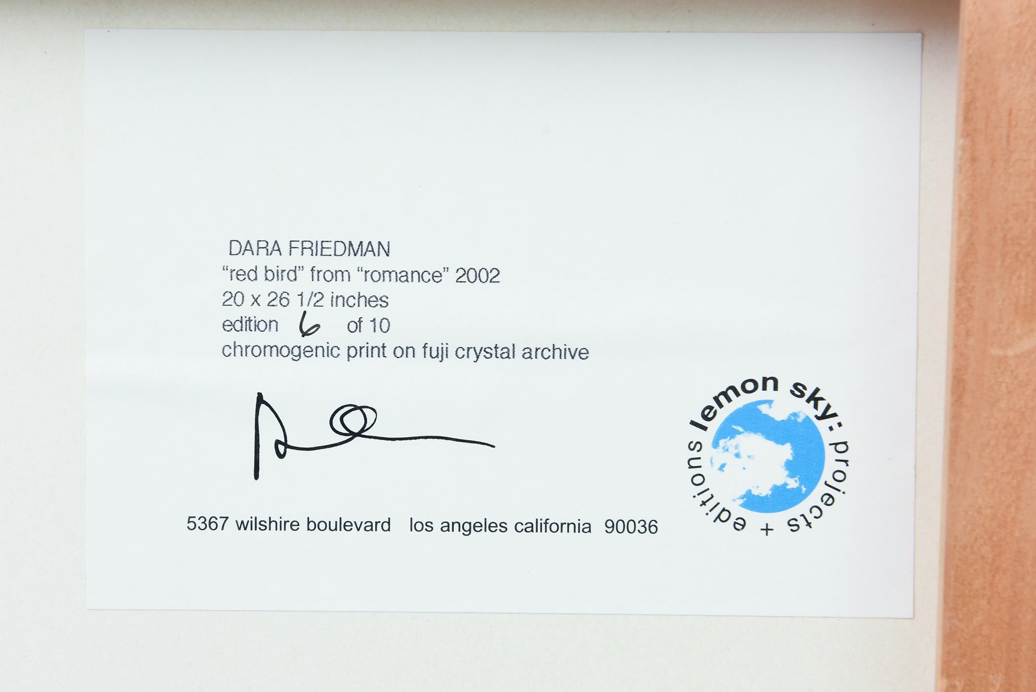Dara Friedman Photograph From Romance Series Titled Redbird Custom Framed 2002 For Sale 4