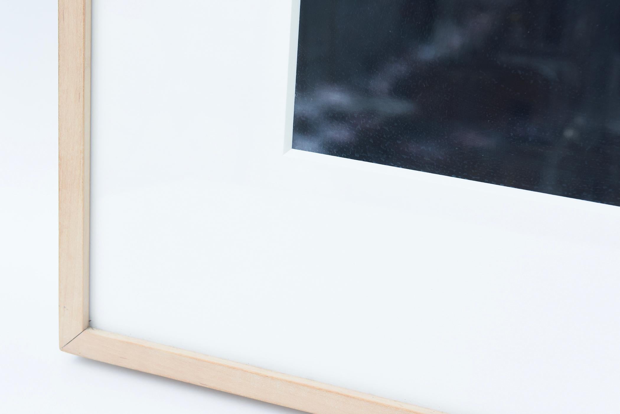 Contemporary Dara Friedman Photograph From Romance Series Titled Redbird Custom Framed 2002 For Sale