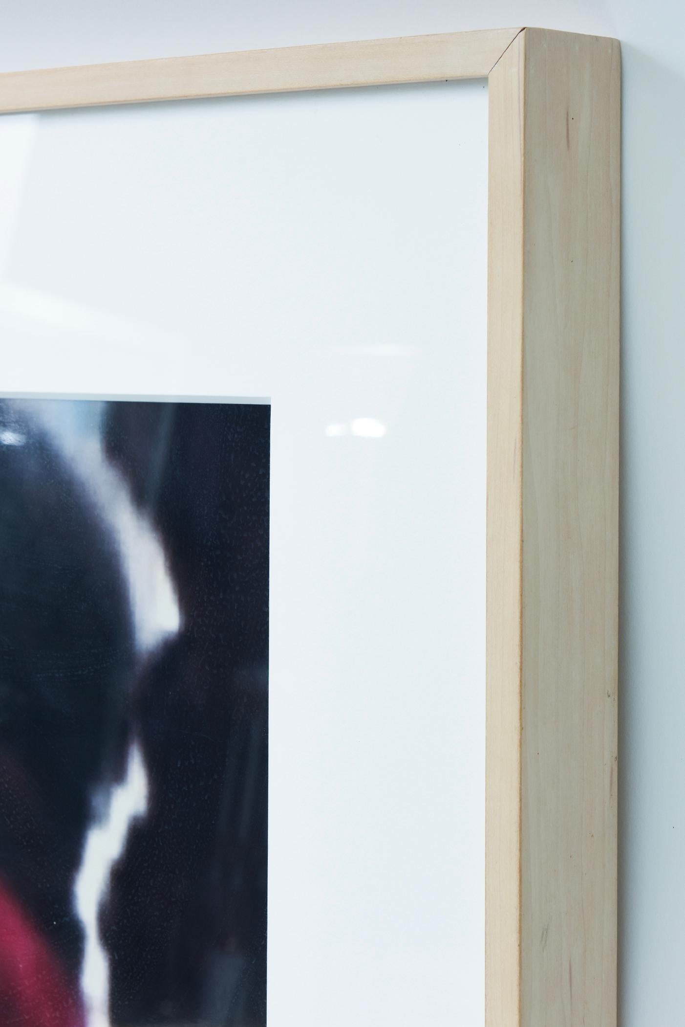 Lucite Dara Friedman Photograph From Romance Series Titled Redbird Custom Framed 2002 For Sale