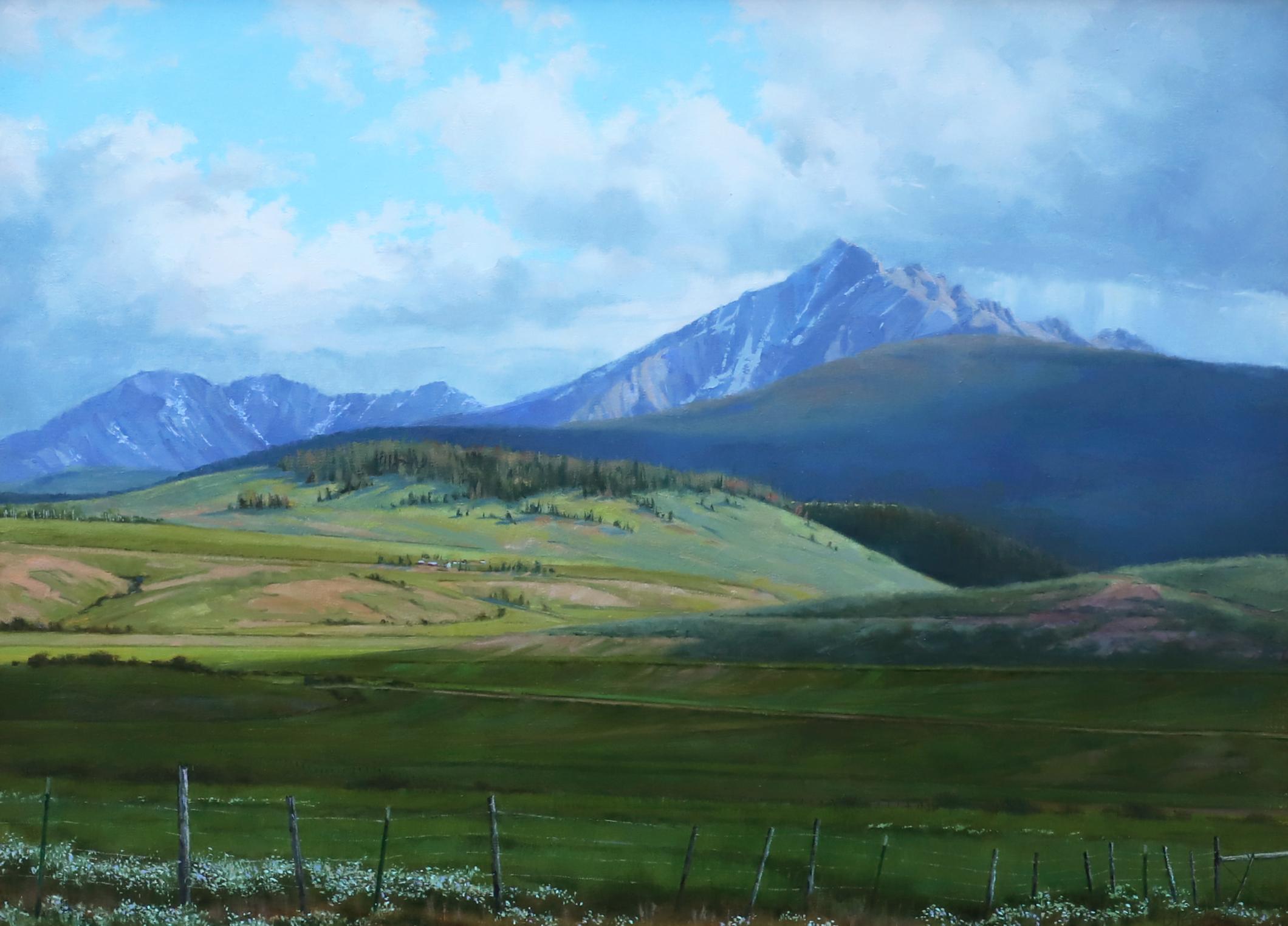 Ranch Roads & Gänseblümchen – Painting von Darcie Peet