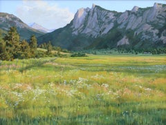 Shadow Patterns and Lost Thistle