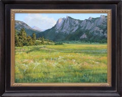 Shadow Patterns and Lost Thistle