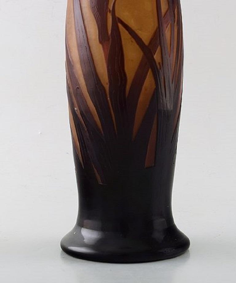 French D'argental, France, Large Art Nouveau Vase in Cameo Glass with Reed and Flowers