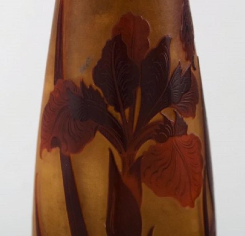 D'argental, France, Large Art Nouveau Vase in Cameo Glass with Reed and Flowers In Good Condition In Copenhagen, DK