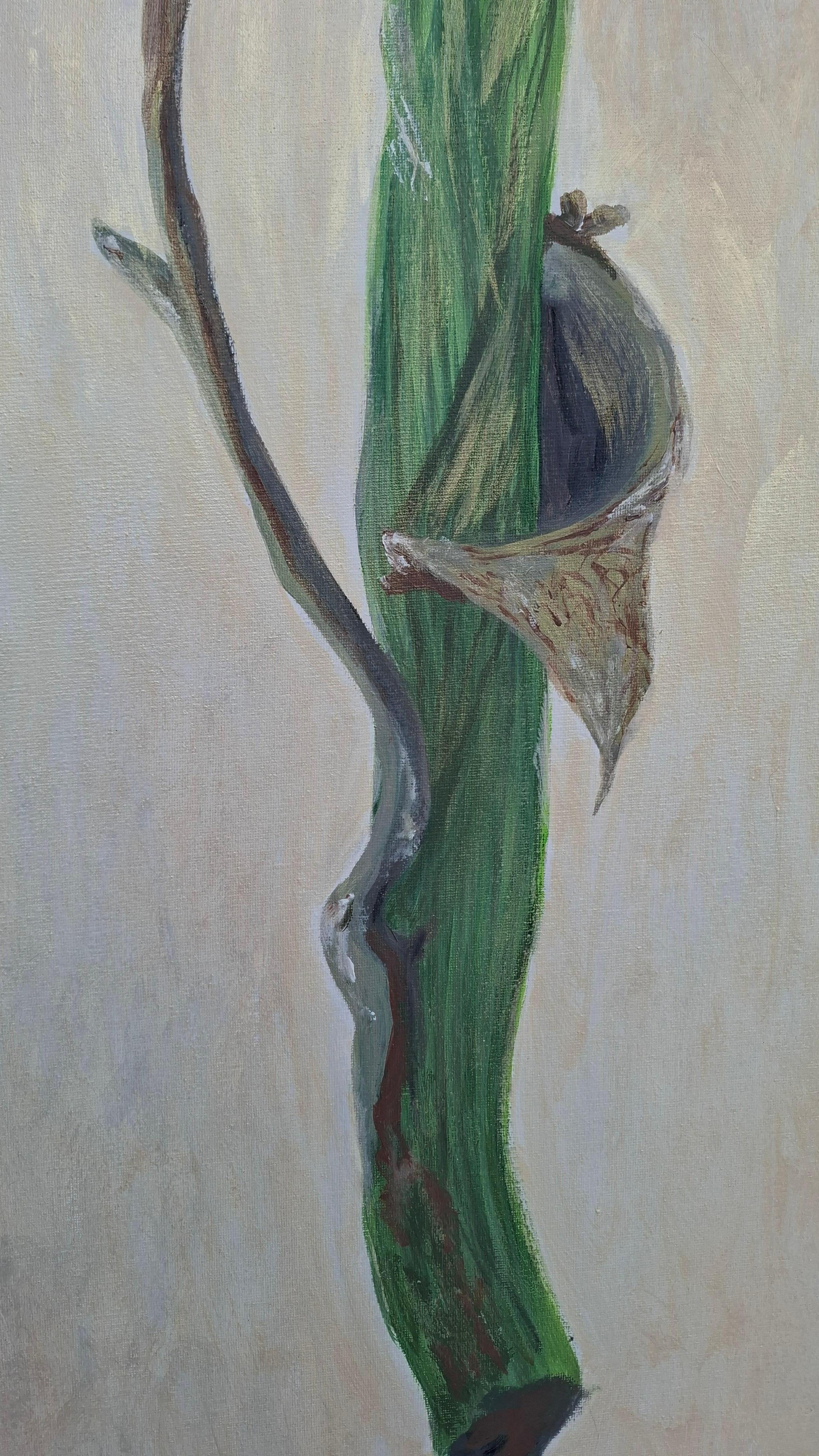 Un simbolo del cuore, nascosto sotto gli strati. Il carciofo è più di un fiore, è una metafora dell'anima: appuntito fuori, tenero dentro. Il dipinto ti invita a fermarti, a guardare più in profondità, a toccare l'essenza.

Ogni petalo è