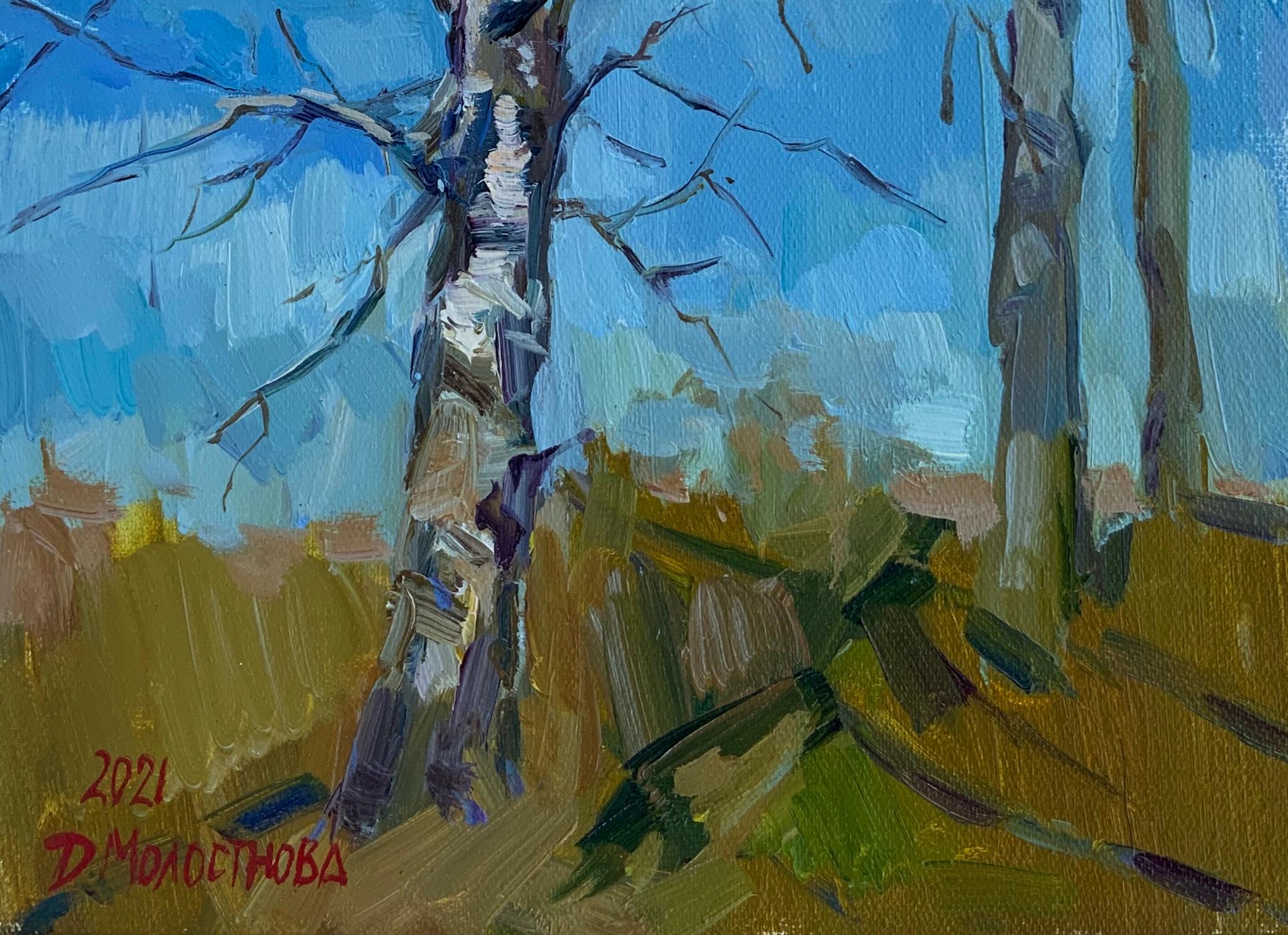 Betulle in primavera in vendita 6