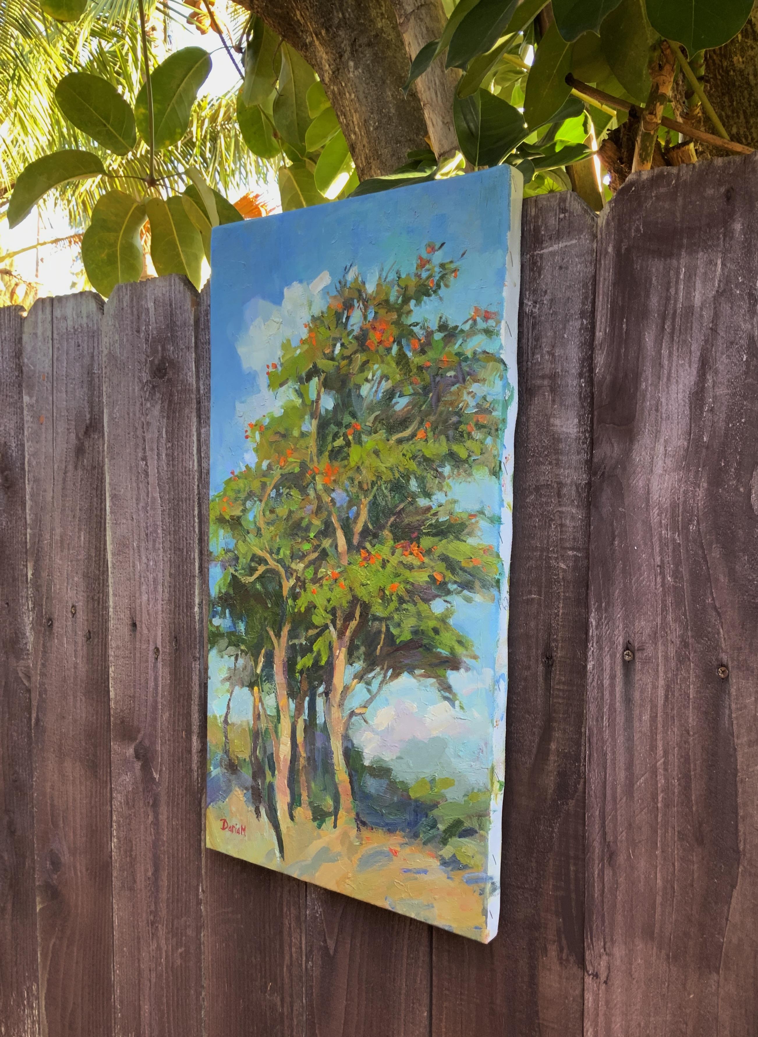 Flowering Tree. African Tulip Tree For Sale 4