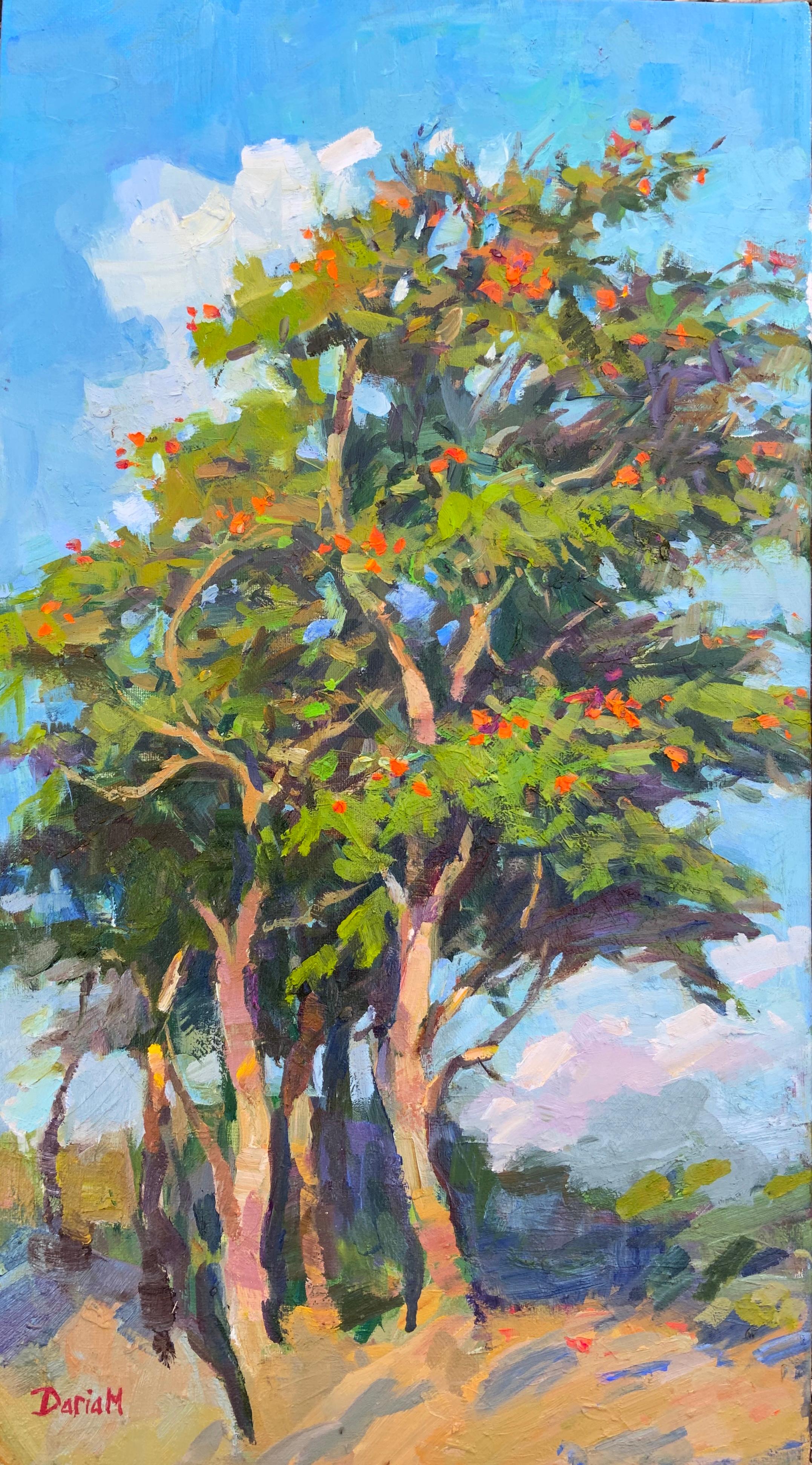 Árbol con flores. Árbol del tulipán africano