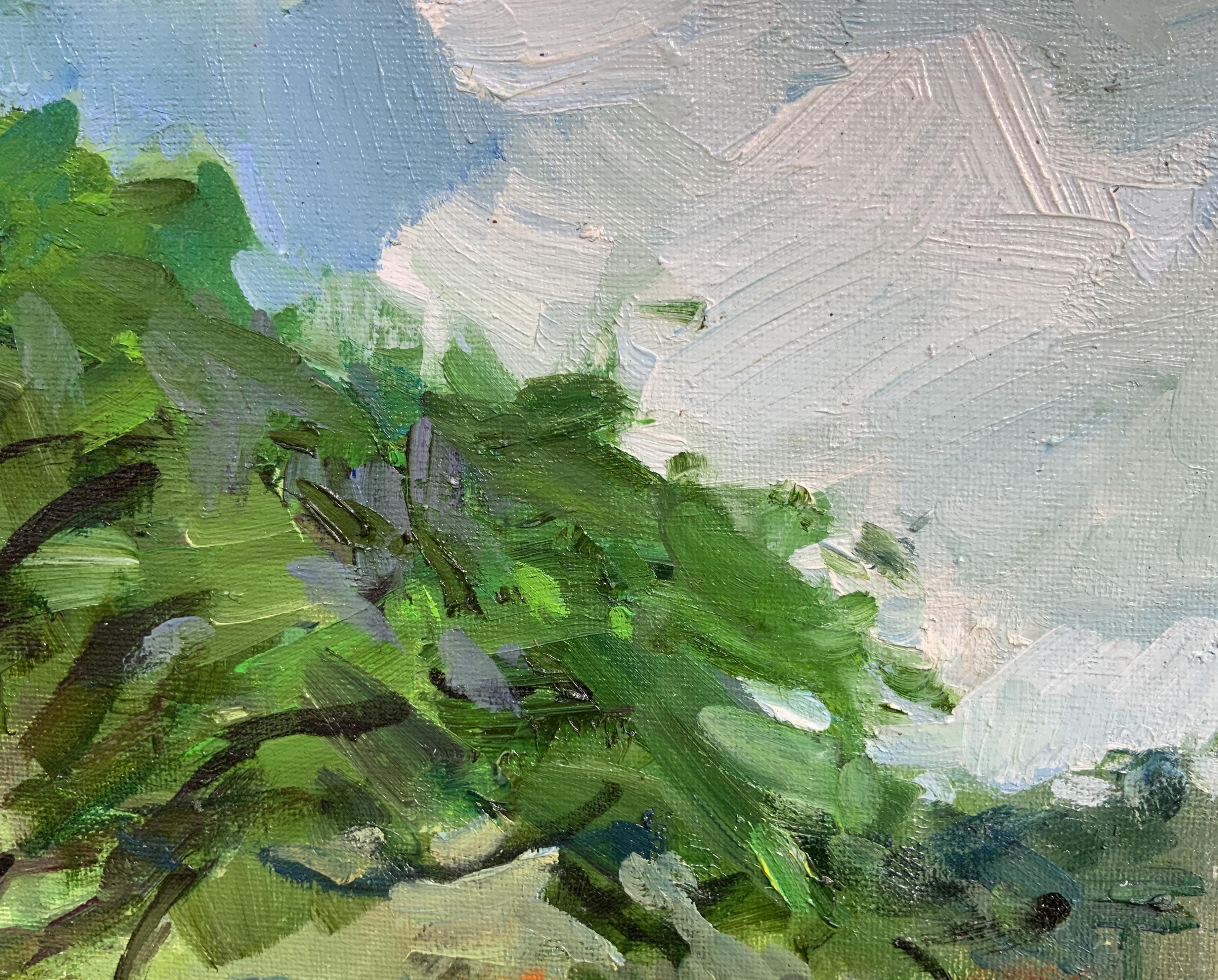 Pupukea Foodland (Grau), Landscape Painting, von Daria Molostnova