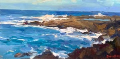 Sharks Cove