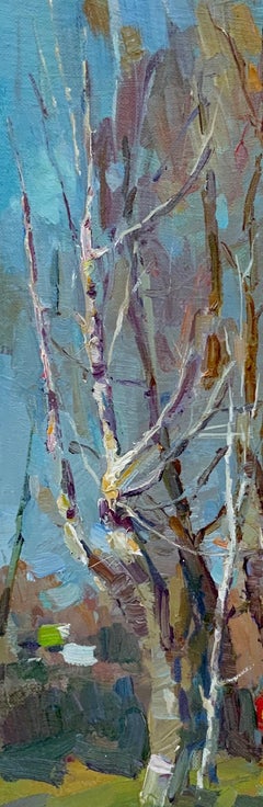 Spring Sun. Spring landscape, birch trees, rural scene, blue sky