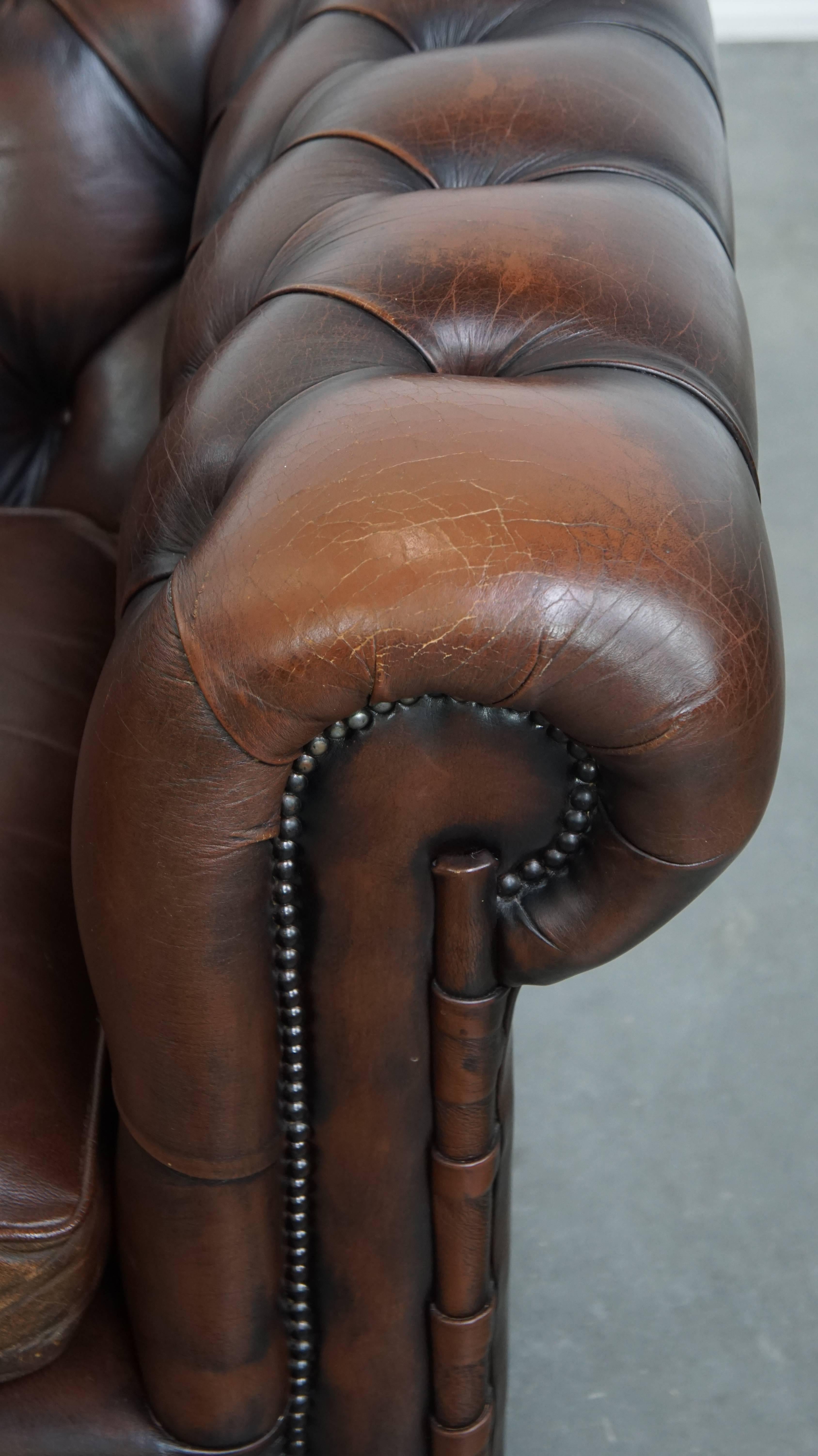 Dark brown English cowhide leather chesterfield armchair en venta 5