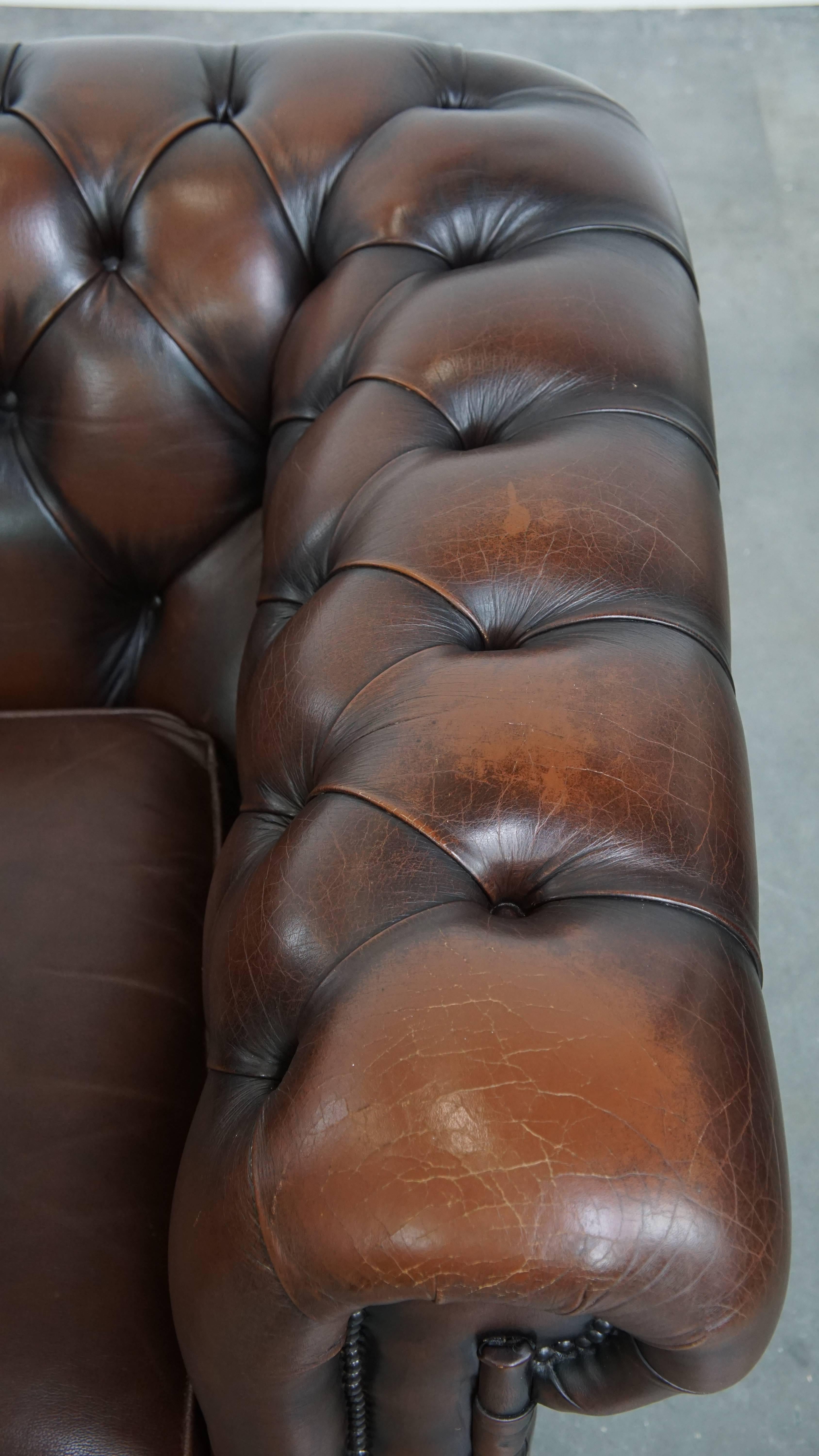 Dark brown English cowhide leather chesterfield armchair en venta 1