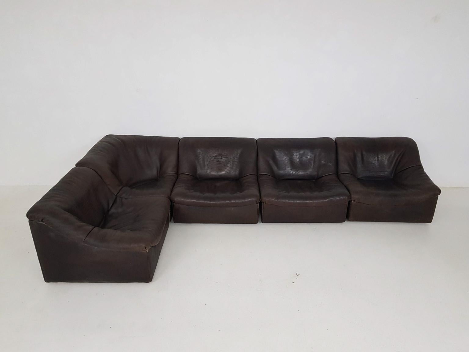 Swiss Dark Brown Neck Leather Modular or Sectional 