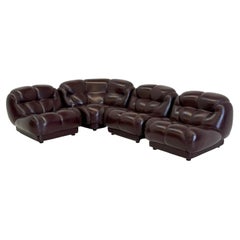 Dark Brown Nuvolone Modular Lounge Sofa by Rino Maturi for Mimo Padova