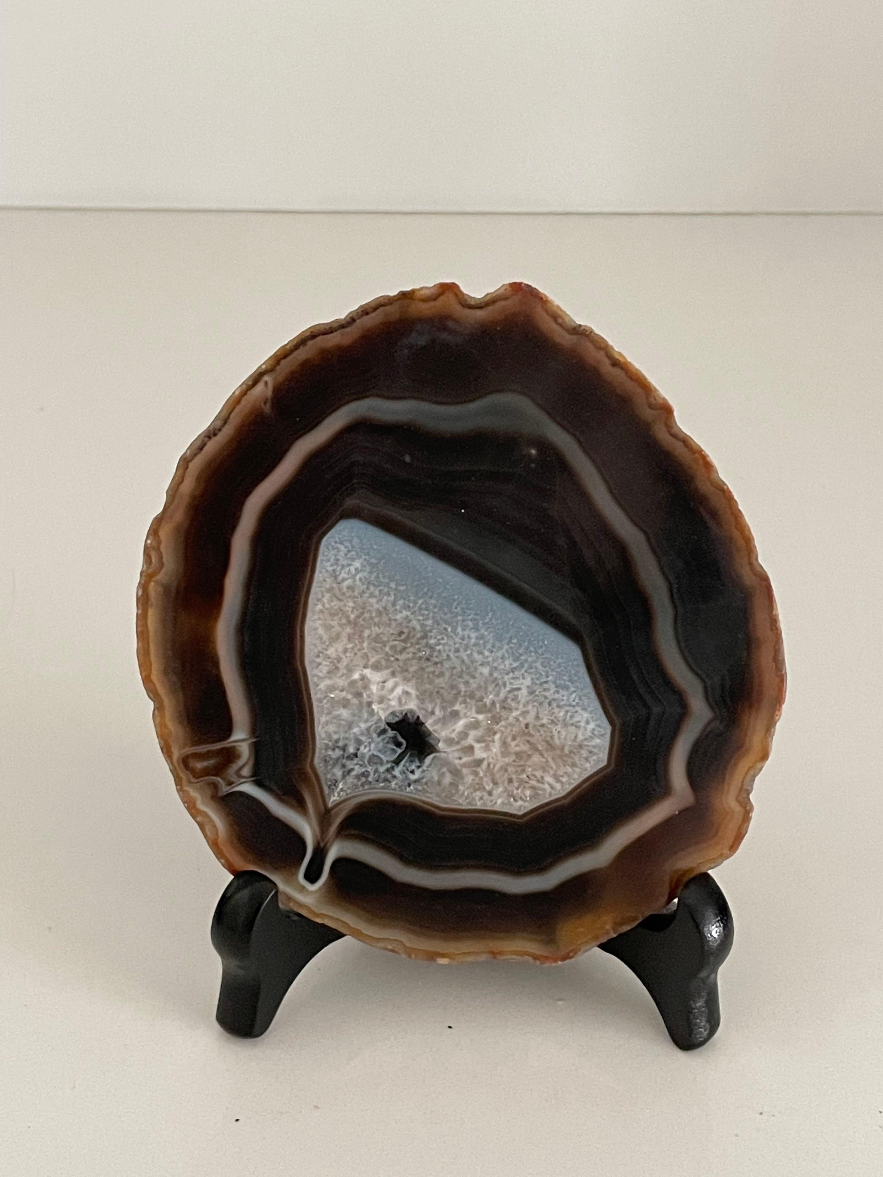 Dark Brown Thin Slice Agate on Stand, Brazil, Prehistoric In Good Condition For Sale In New York, NY