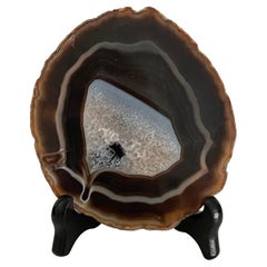 Dark Brown Thin Slice Agate on Stand, Brazil, Prehistoric