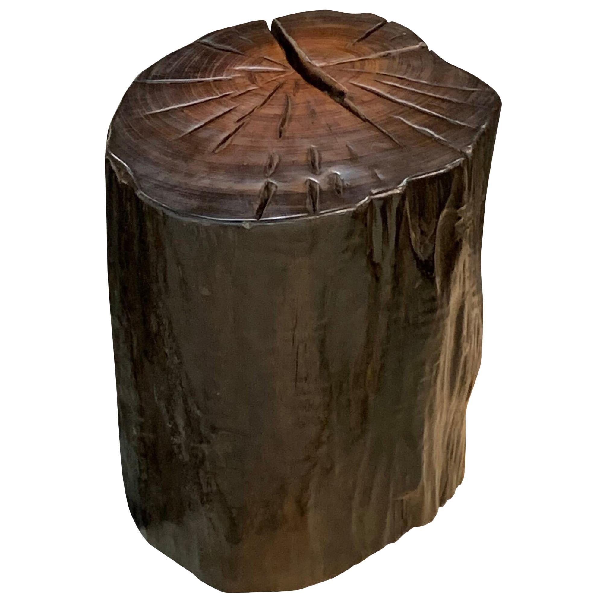 Dark Brown Walang Tree Side Table, Indonesia, Contemporary For Sale