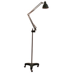 Verstellbare schwarze, grüne, drehbare Bauhaus-Stehlampe Fontana Arte 1950er