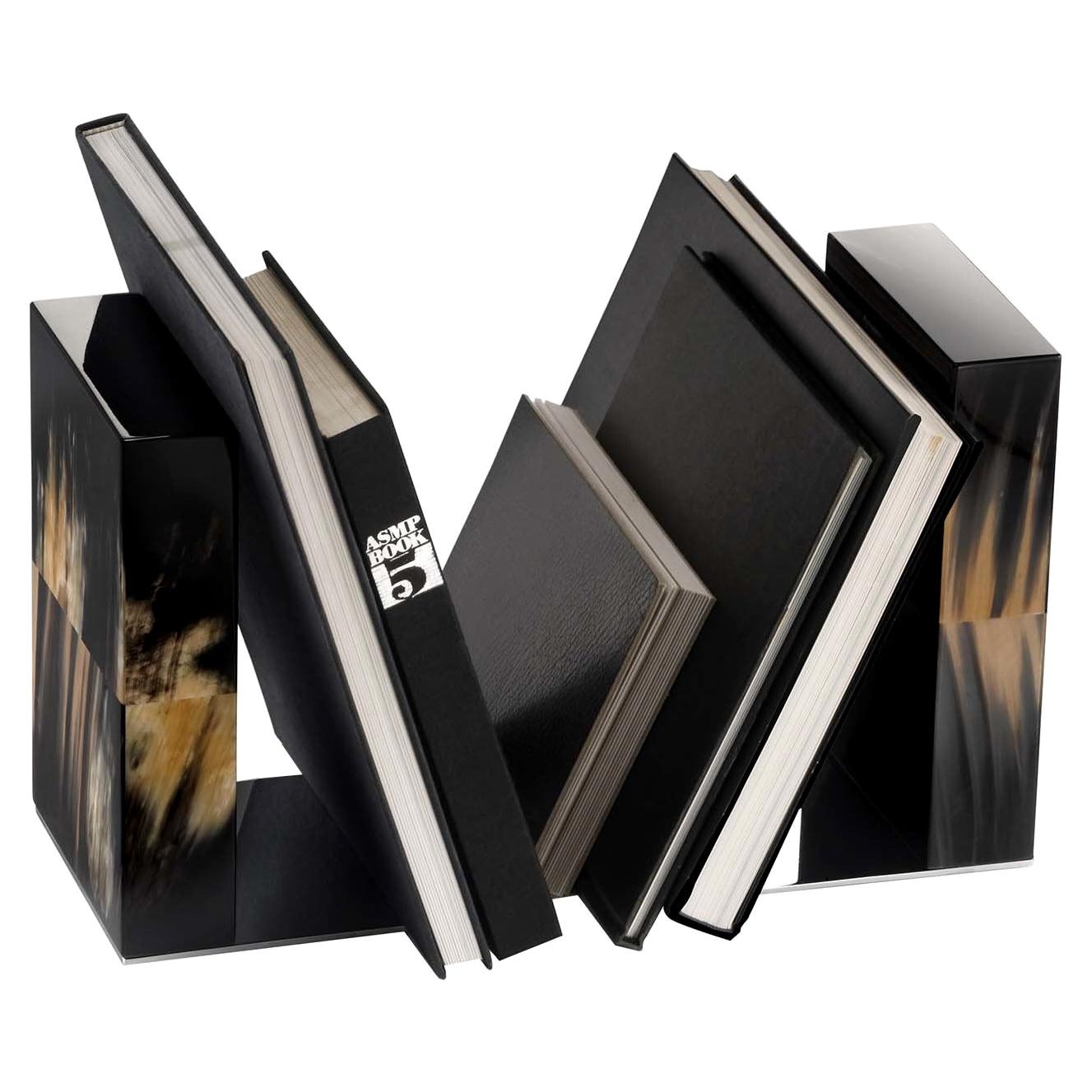 Dark Igor Book End