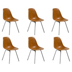 Dunkle ockergelbe Senf Eames Herman Miller Vintage Fiberglas-Muschelstühle