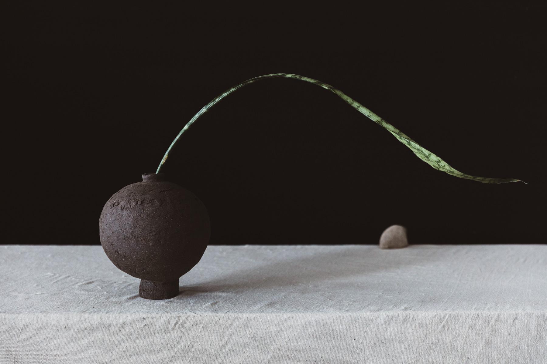 Das Dark River Moon Jar ist ein elegantes Mondglas aus schwarzem Skulpturenton. Mysteriös in seiner minimalen und raffinierten Natur. Der rohe Ton bietet eine Textur, die die Spuren des Schöpfers zeigt, einfach und beeindruckend.

Dieses Schiff ist