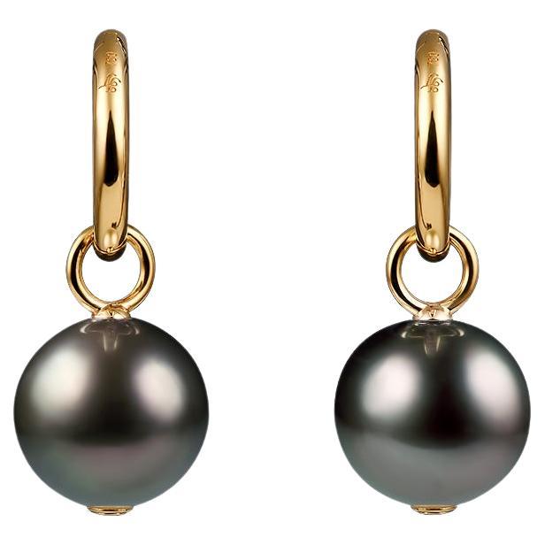 Dark Tahitian Pearl Dangle Earrings Yellow Gold For Sale